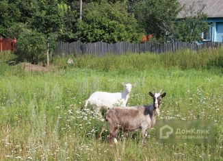 Продаю участок, 11 сот., деревня Наумово, Мирная улица, 1