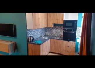 Сдам 1-комнатную квартиру, 30 м2, Кострома, Красноармейская улица, 25, Фабричный район