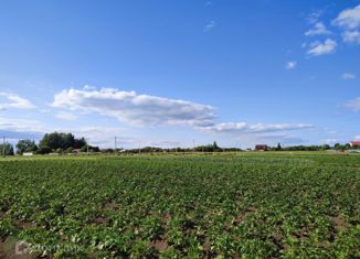 Продам участок, 42 сот., деревня Хунав, Центральная улица, 31