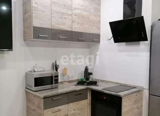 1-ком. квартира в аренду, 30 м2, Тюмень, Верхнетарманская улица, 1, ЖК Новый Мыс 2.0