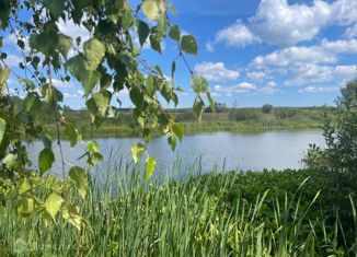 Продам дом, 104.5 м2, село Стремилово, 2-я Садовая улица, 48