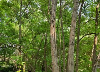 Продается земельный участок, 15 сот., село Вареновка, Социалистическая улица, 104