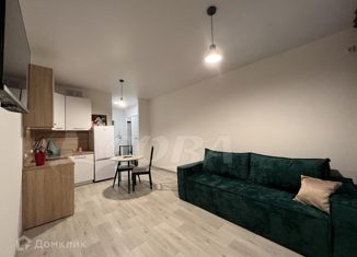 Продается квартира студия, 30 м2, село Ембаево, Бульварная улица, 11/1