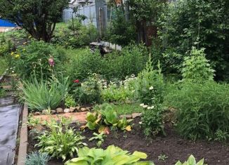 Продаю дом, 20 м2, Новосибирск, Октябрьский район, ДНТ Одуванчик, 19