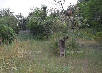 Продажа дома, 38.7 м2, СНТ Дружба-1, 4-я улица