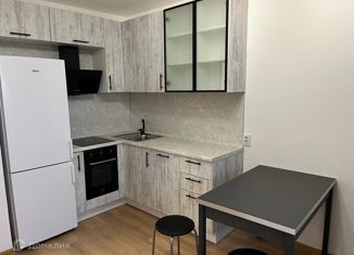 Сдается в аренду 2-ком. квартира, 54.6 м2, посёлок Песочный, Садовая улица, 81