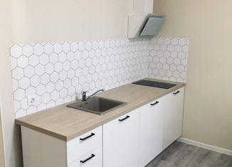 Квартира в аренду студия, 23 м2, посёлок Шушары, Московское шоссе, 262к4