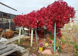 Дом на продажу, 60 м2, Нижняя Салда