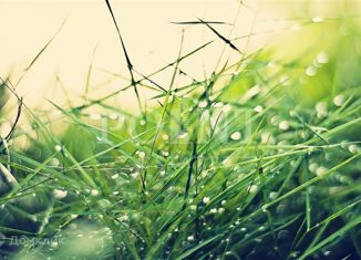 Продаю земельный участок, 25 сот., коттеджный поселок Гринфилд