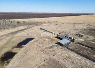 Участок на продажу, 17.5 сот., деревня Филина, Молодёжная улица