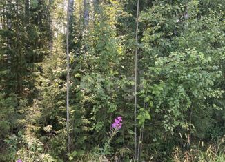 Продаю земельный участок, 10 сот., территория Эжвинский