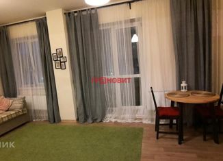 Продажа квартиры студии, 27.7 м2, Новосибирск, Стартовая улица, 1, метро Студенческая