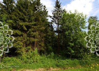 Продажа участка, 30 сот., деревня Лисавино