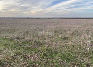 Земельный участок на продажу, 50 сот., Перовское сельское поселение