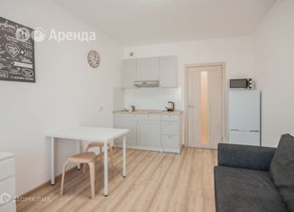 Квартира в аренду студия, 23 м2, Мурино, Воронцовский бульвар, 14к1, ЖК Краски Лета