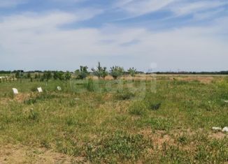 Участок на продажу, 5 сот., хутор Новоалександровка, Луговой переулок