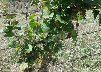 Продажа участка, 8 сот., дачный потребительский кооператив Ветеран, Грушевая улица