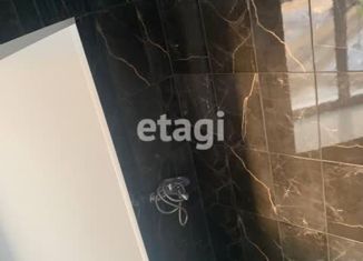 Квартира на продажу студия, 15.69 м2, Санкт-Петербург, проспект Римского-Корсакова, 63, проспект Римского-Корсакова