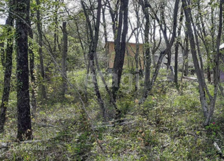 Продаю участок, 5 сот., территория СНТ Голубая Долина, Елисейская улица