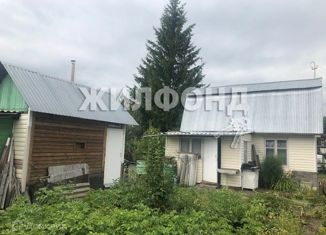 Дом на продажу, 45 м2, село Березовка