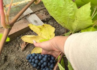 Продается дом, 50 м2, СНТ Раздолье-2, Вишнёвая улица, 17