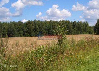 Участок на продажу, 328 сот., деревня Красноозерное, Школьная улица, 3