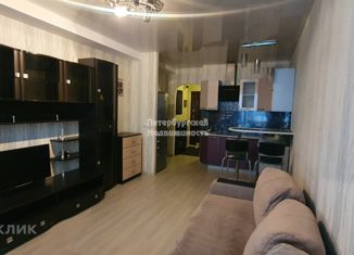 Квартира на продажу студия, 24.6 м2, Санкт-Петербург, проспект Обуховской Обороны, 138к2, метро Обухово