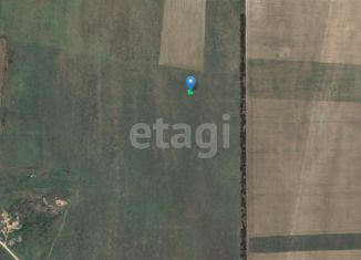 Продажа земельного участка, 4 сот., Окунёвское сельское поселение