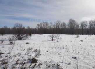 Продается участок, 10 сот., поселок Черемшанка, Дорожная улица