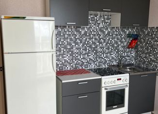 1-ком. квартира в аренду, 31 м2, Челябинск, улица Университетская Набережная, 54