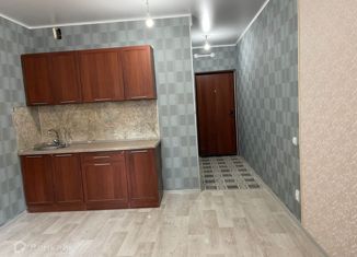 Квартира на продажу студия, 24 м2, Оренбург, Уральская улица, 2/14, ЖК Дубки