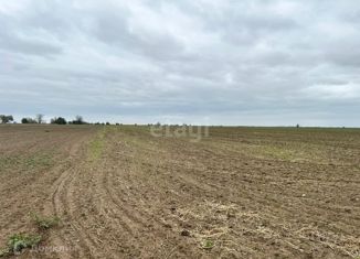 Продам участок, 306.5 сот., Чистенское сельское поселение