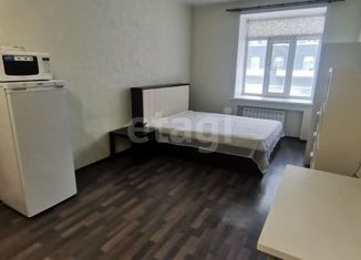 Аренда квартиры студии, 22 м2, Новосибирск, проспект Карла Маркса, 35, проспект Карла Маркса