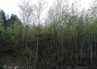 Продаю участок, 9.8 сот., Собинка, Новая улица, 37