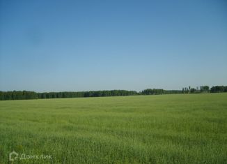 Земельный участок на продажу, 2500 сот., Челябинская область