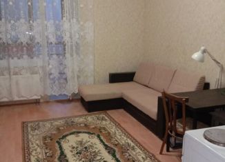 Сдача в аренду квартиры студии, 25 м2, Мурино, улица Шоссе в Лаврики, 76, ЖК Тридевяткино Царство