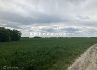 Продаю земельный участок, 13.87 сот., деревня Рожок, Центральная улица