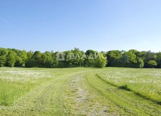 Продажа земельного участка, 45 сот., деревня Пнево