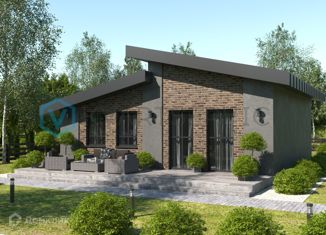 Продается дом, 54 м2, село Дружино, Александровская улица