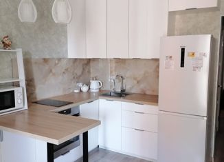 Продается квартира студия, 24.4 м2, Санкт-Петербург, метро Комендантский проспект