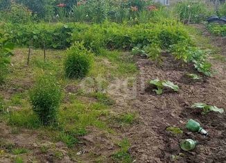 Дом на продажу, 20 м2, деревня Веснина