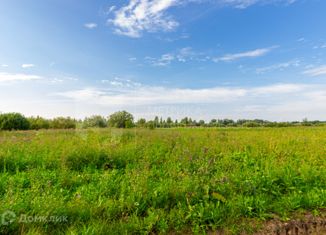 Продаю участок, 8.02 сот., село Нижняя Тавда, улица Максима Горького