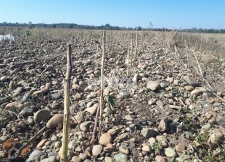 Продаю земельный участок, 5130 сот., аул Кошехабль, улица Дружбы Народов