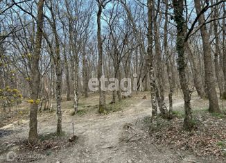 Продам земельный участок, 85 сот., село Абрау-Дюрсо, Туристическая улица