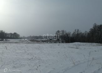 Продам участок, 15.2 сот., село Рассказиха