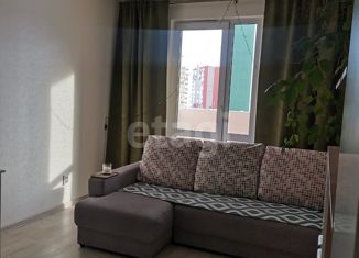 Продажа квартиры студии, 24.3 м2, село Лопатино, улица Алабина, 32