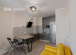 Сдам в аренду 1-ком. квартиру, 34 м2, Санкт-Петербург, метро Выборгская, улица Грибалёвой, 9к1