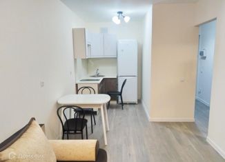 Сдается 1-комнатная квартира, 34.7 м2, Мурино, улица Шоссе в Лаврики, 64к1, ЖК Северный