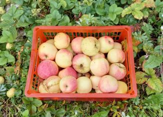 Продается дом, 38 м2, Тверь, Московский район, улица Островского