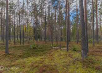 Продается участок, 25 сот., Петровское сельское поселение